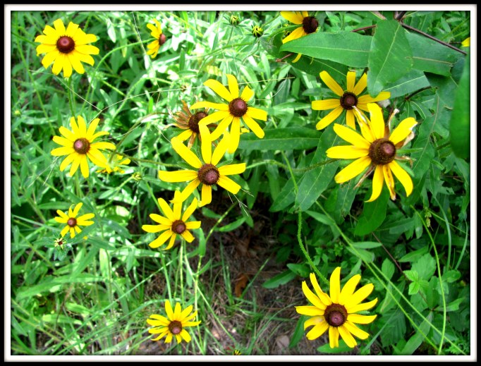 I cannot talk God out of loving me. And neither can you.