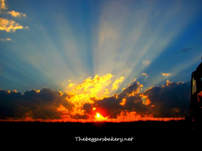 From dry bones to fresh starts - that's how our God works.