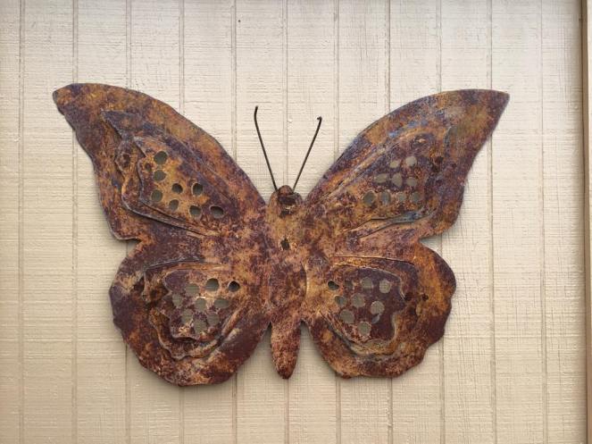 1610912_10204079650383910_3052899064755727197_n