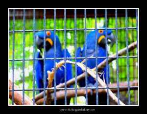 296878_3625876817927_1688681910_n