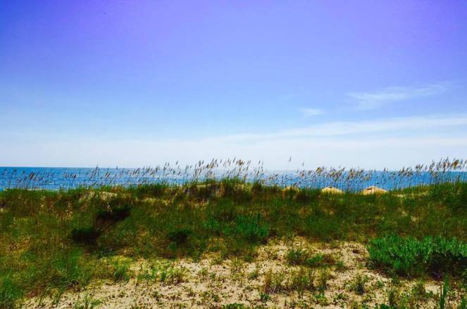 11904022_10204792590566969_5504121508774011898_n